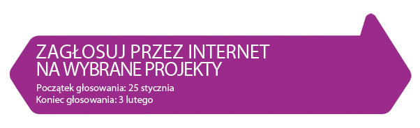 Zagłosuj przez Internet